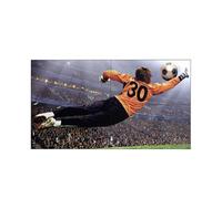 LG - LARGE FORMAT DISPLAYS 49VL5G 49IN IPS LED FHD1080P