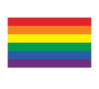 LGBT Pride Flag Decal Stickers, Choose Quantity, Size 15cm x 9cm, Rainbow Flag Lesbian Gay Bisexual Transgender Pride Car Bumper Stickers (10)