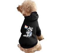 LGBT Proud Raccoon Cute Dog And Cat Clothes Pet Hoodie Sweatshirt Pullover Sweater Coat