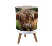 LGCZNWDFHTZ Small Trash Can with Lid for Bathroom Kitchen Office Funny Hairy Cow Highland Cattle Close up Garbage Bin Waste Basket Decorative 1.8 gallons, 14x9inch
