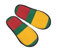 LGHDFYO Flag of Lithuania printing Trendy Winter Furry Slippers for Adult Indoor Use,Warm Comfy Shoes for Home Office Daily Wear, Black, 5