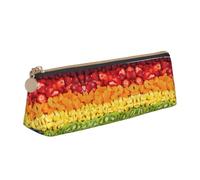 LGHDFYO Fruit Rainbow Triangular Pencil Case,Pencils Pouch Large Capacity For Men And Women Artists Home Office
