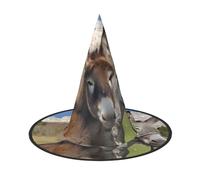 LGHHGY 2 PCS Halloween Hat – Funny Donkeys Print Witches Decor Party, Role Play Accessory, Magic Wizard Cap for Women, Men