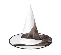 LGHHGY 3 PCS Halloween Hat – Cute Otter Print Witches Decor Party, Role Play Accessory, Magic Wizard Cap for Women, Men