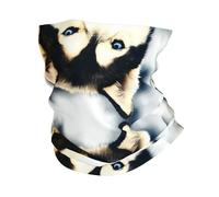 LGHHGY Multipurpose Siberian Husky Print Towel – Sports Headscarf, Hair Scarf & Face Mask for Beach, Cycling, Outdoor Activities