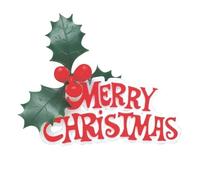 LGT Christmas Cake Topper Sets. 11 Unique Designs to Choose From. Cake Decorations, Motto, Lay Ons. ((F) 3 x Holly/Berry Merry Christmas) (LGT Motto Sets)