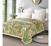 LGYKUMEG Thick Winter Fleece Blanket 70 x 85 inch Korean Mink Throws Blanket for Bed,Silky Soft and Warm,2 Ply Reversible Raschel Bed Blankets,Green,180X220cm 6LB/3kg.