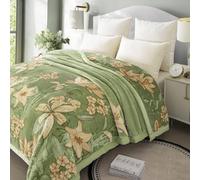 LGYKUMEG Thick Winter Fleece Blanket 77 x 90 inch Korean Mink Blanket for Full/Queen Size Bed,Silky Soft and Warm,2 Ply Reversible Raschel Bed Blankets,Green,200X230cm 9Lb/4kg.
