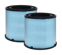 Lhari H13 True HEPA Filter Compare to AP1001 Replacement Filter, 5-Layer Purification System, 2-Pack
