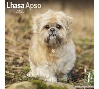 Lhasa Apso Calendar 2025 Square Dog Breed Wall Calendar - 16 Month 978180460365