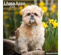 Avonside Publishing Calendar Lhasa Apso 2026 – Square Wall, Plastic-Free Packaging, Dog Gift