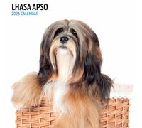 Lhasa Apso 2026 Modern Calendar