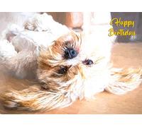 Lhasa Apso Art Birthday Card