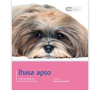 Lhasa Apso: Dog Expert