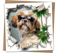 Lhasa Apso Greeting Card - Funny Dog Coming Out of Wall Greetings Birthday Card