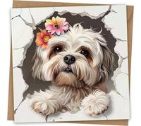 Lhasa Apso Greeting Card - Funny Dog Face Greeting birthday Card with Kraft Envelope