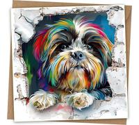Lhasa Apso Greeting Card - Funny Dog Head Through Wall Greeting Birthday Card