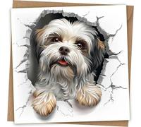 Lhasa Apso Greeting Card - Funny Dog Head Through Wall Greeting Birthday Card with Kraft Envelope
