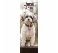 Lhasa Apso Slim Calendar 2026, Wall Calendars, Month To View, Dogs, Gift