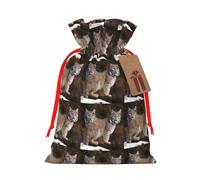 LHBWCVN Canada Lynx Christmas Drawstring Gift Bags with Tags, Christmas Gift Bags with Red Ribbon, Reusable Cloth Gift Bag, Gift Bags for Parties and