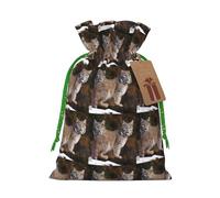 LHBWCVN Canada Lynx Christmas Drawstring Gift Bags with Tags, Xmas Gift Bags with Green Christmas Ribbon, Reusable Gift Wrapping Bag Fabric Goody Gift Sacks for Party Presents Decorations