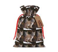 LHBWCVN Canada Lynx Christmas Gift Bags with Tags, Christmas Gift Bags with Red Christmas Ribbon, Reusable Gift Wrapping Bag, Gift Bags for Party