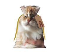 LHBWCVN Cute Kitty Christmas Drawstring Gift Bags with Tags, Xmas Gift Bags with Yellow Christmas Ribbon, Reusable Gift Wrapping Bag Fabric Goody Gift Sacks for Party Presents Decorations