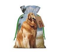 LHBWCVN Golden Retriever Christmas Drawstring Gift Bags with Tags, Xmas Gift Bags with Green Christmas Ribbon, Reusable Gift Wrapping Bag Fabric Goody Gift Sacks for Party Presents Decorations
