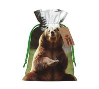 LHBWCVN Hi Bear Sit on the lawn Christmas Drawstring Gift Bags with Tags, Xmas Gift Bags with Green Christmas Ribbon, Reusable Gift Wrapping Bag Fabric Goody Gift Sacks for Party Presents Decorations