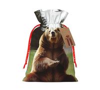 LHBWCVN Hi Bear Sit on the lawn Christmas Drawstring Gift Bags with Tags, Xmas Gift Bags with Red Christmas Ribbon, Reusable Gift Wrapping Bag Fabric Goody Gift Sacks for Party Presents Decorations
