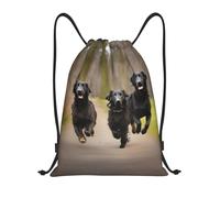 LHBZXMKJ Trotting Flat Coated Retriever Paw Print Drawstring Bag Yoga Bag Gym Bag Backpack Sport Beach Backpack,Black,Small