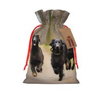 LHBZXMKJ Trotting Flat Coated Retrievers Paw Print Drawstring Present Bags Christmas gifts Wrapping Sacks Pouches for Xmas Party