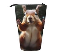 LHDGBNV Squirrel Funny Animal Telescopic Pencil Case,Cute Stand Pencil Bag Pop Up Pen Holder Cosmetics Bags Desk Stationery Case For Office Supplies
