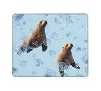LHFIOHIRG (Sea lions) 20 x 24 cm Mouse Pad Desk Mat with Non-Slip Rubber Base Mouse Mat for Computer Laptop Office