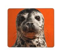 LHFIOHIRG (Sea lions) 20 x 24 cm Mouse Pad Desk Mat with Non-Slip Rubber Base Mouse Mat for Computer Laptop Office