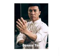 LHHJF LJHFA Chinese Kung Fu Master Poster Ip Man Donnie Yen Wall Art Wing Chun Master Canvas Painting And Prints For Home Decor Picture 50x70cm No Frame