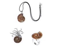 LHJ Natural Fossil Set 3 Pcs Nautiloidea Section Fossil Spiral Conch Neckalce Adjustable Ring & Brooch Collection Jewelry Gift