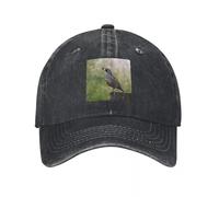 LHJHZDJC California Valley Quail, Heavyweight, Quick-Dry, Bird, Nature, Breathable Trucker Hat Lightweight Hats Cap