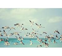 LHJOY 1000 Piece Christmas Jigsaw Puzzles Sea Gull 75x50cm