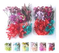 LHLZNB Ethereal Dry Flowers for Crafts & Resin - Preserved Beauty in Every Petal - Perfect, Floral Decorations, and Wreath Making - Includes Pink, White, and Red Dried Flowers (red)
