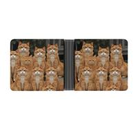 LHOKDR Pocket Wallet, Orange Cats Printed Multifunctional Wallet,simple Travel Wallet,unisex Wallet, black, One Size, Contemporary