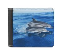 LHOKDR Portable Card Holder Wallet, Dolphin Family Printed Multifunctional Wallet,simple Travel Wallet,unisex Wallet, black, One Size, Contemporary