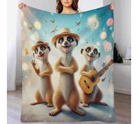 LHXLHXX Cute Raccoon Throw Blanket for Bedroom Living Room, Soft Comfortable Bedding Sofa Throws for Boys Girls, Flannel Blankets 130×150cm
