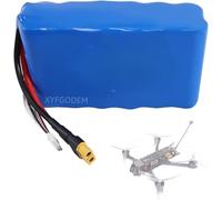 Li-Polymer Battery Replacement 8000mAh 6S2P 10C 22.2V High Power for Drones and RC Models