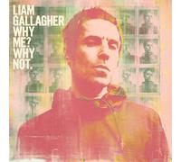 Liam Gallagher - Why Me? Why Not. [VINYL]