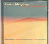 Liam Noble Group - In The Meantime