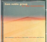 Liam Noble Group - In The Meantime