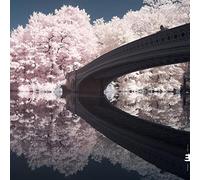 Liam Noble - The Long Game