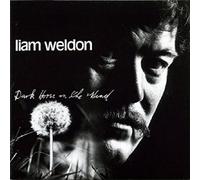 Liam Weldon - Dark Horse On The Wind