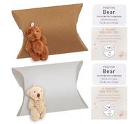 Liameph 2PCS Pocket Bear Hug - Mini Teddy in a Tin for Emotional Support, Graduation, Friendship, Comfort Souvenirs with Cards, Pillow Box (White/Brown)
